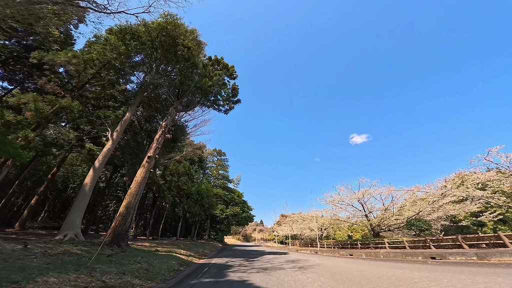 夏海運動公園 大洗